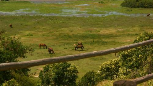 Posada Vista Al R�o