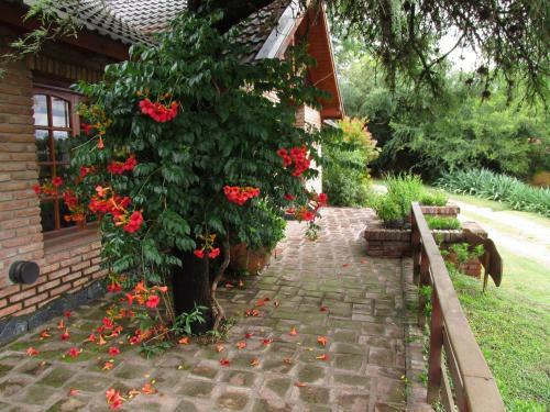 Lodge Caba�as Mirasoles