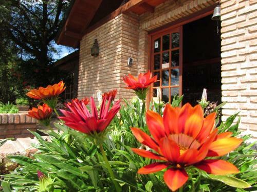 Lodge Caba�as Mirasoles