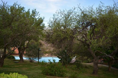 Hotel Caba�as Del Rio