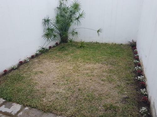 Cedros Apart Salta