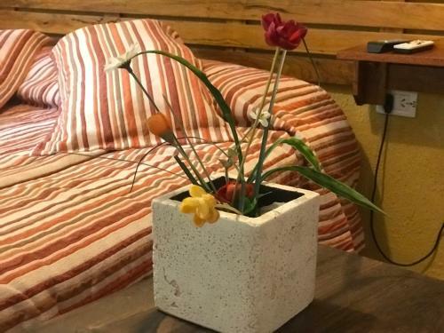 Hotel Complejo Najul Suites