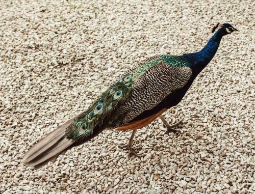 Apartamento Suite House Carilo