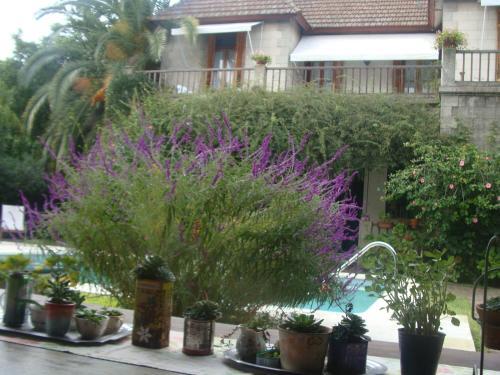 Bed & Breakfast Casona La Ruchi