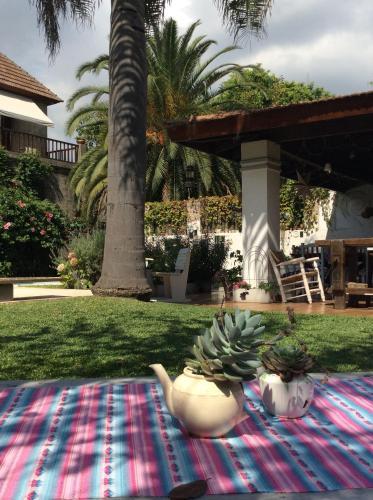 Bed & Breakfast Casona La Ruchi