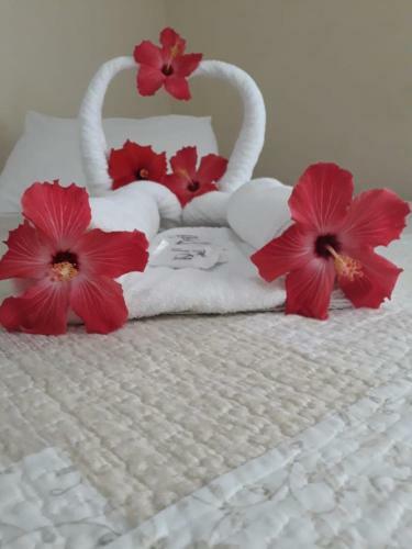 Hostal Pousada Don Antonio