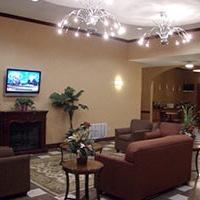 Hotel La Quinta Inn & Suites Desoto