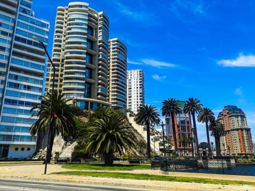 Apartamento Departamento Vi�a Del Mar Coraceros