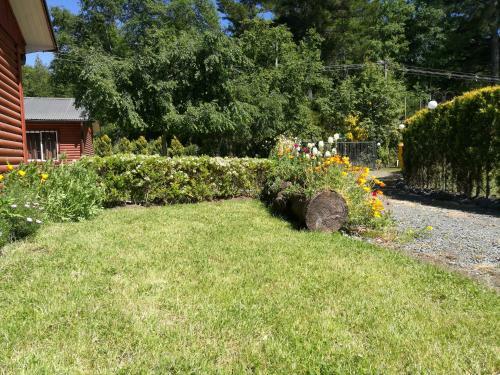 Caba�as Troncos De Pucon