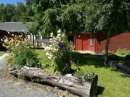 Caba�as Troncos De Pucon