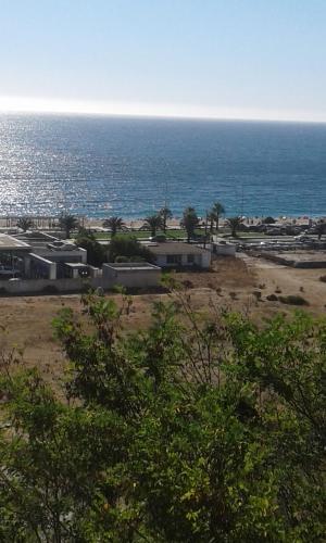 Coraceros Apartment