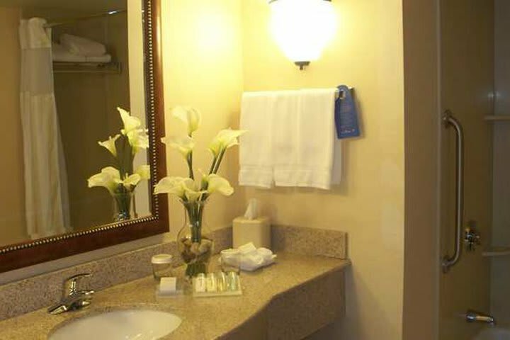 Hotel Hilton Garden Inn Washington Dc/greenbelt