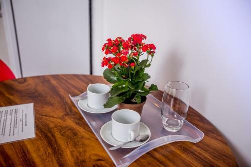 Apartamento Maravilhoso Flat Em Itaipava