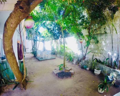 Che Pepe Hostel