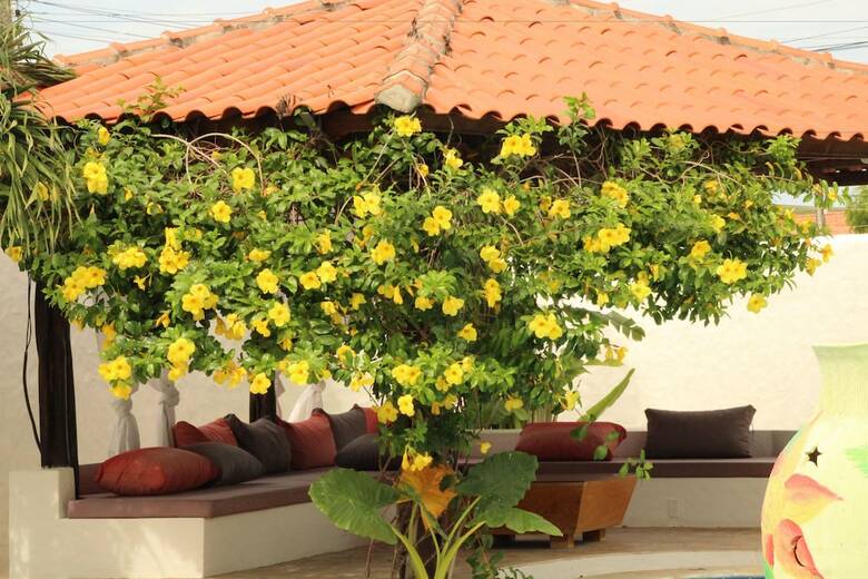 Hostal Pousada 360�