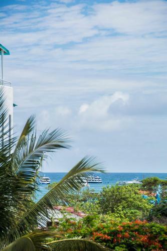 Hotel Hostal Sue�os Silvestres