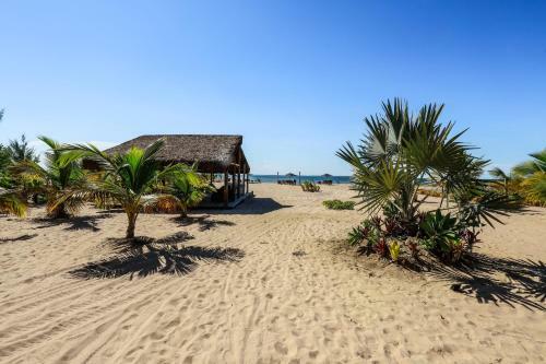 P�r Do Sol Eco Su�tes