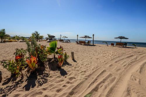 P�r Do Sol Eco Su�tes