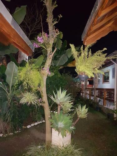 Hostal Pousada Vista Alegre