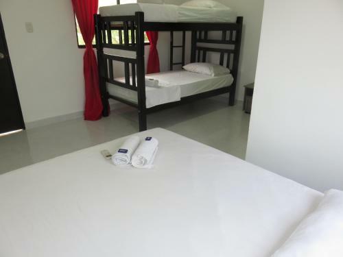 Bed & Breakfast Magic House