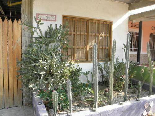 Casa Mandala Taganga