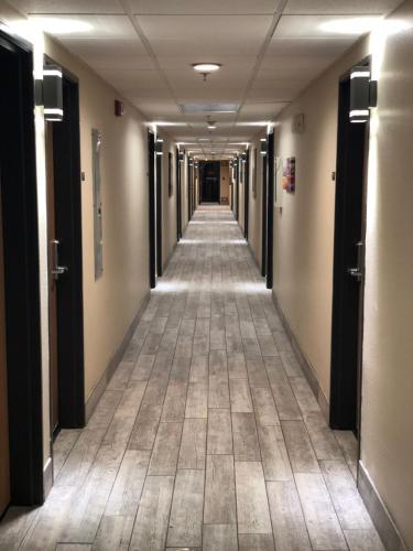 Hotel Super 8 Bedford