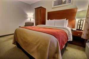 Hotel Comfort Inn New York Staten Island