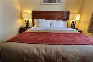 Hotel Comfort Inn New York Staten Island
