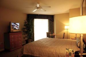 Hotel Royale Palms