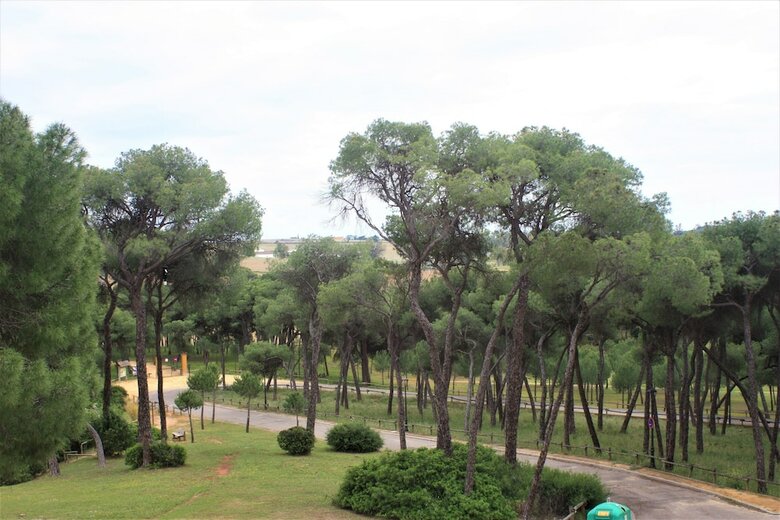 Hotel Oromana