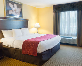 Hotel Comfort Suites