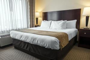 Hotel Comfort Suites