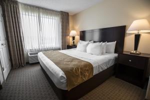 Hotel Comfort Suites