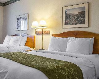 Hotel Comfort Suites At Metro Center