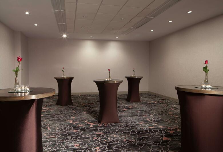 Hilton Atlanta/marietta Hotel & Conference Center