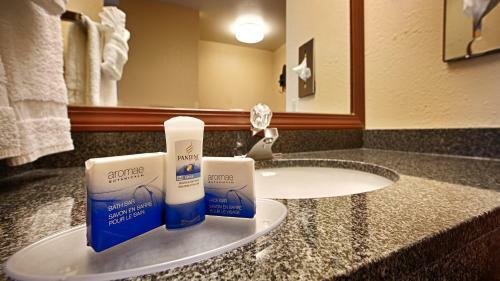 Hotel Best Western Luxbury Inn Fort Wayne