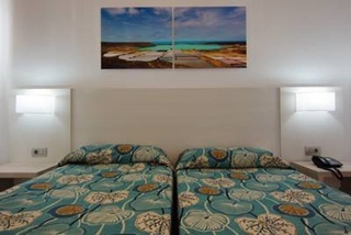 Apartamentos Hsa Ficus