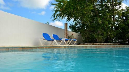 Parrot Villa