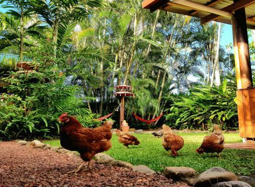 Albergue Tropic Days Backpackers