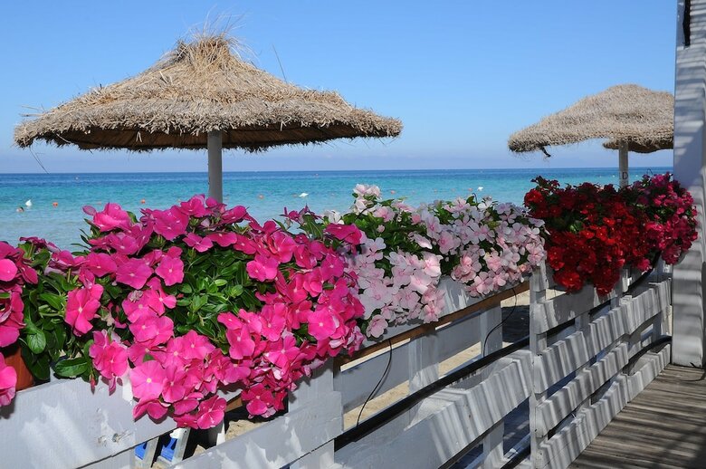 Hotel Delfino Beach