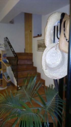 Bed & Breakfast Lo Scoiattolo E La Noce