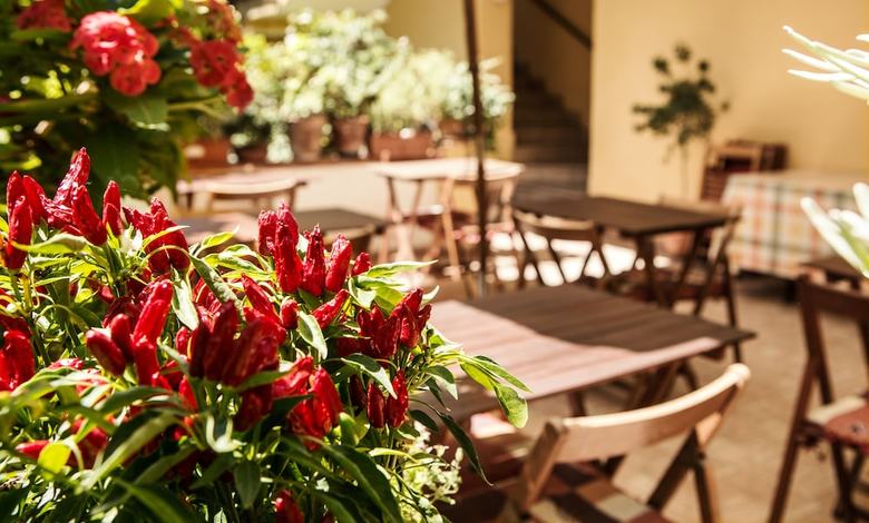 Hotel Donna Rosa