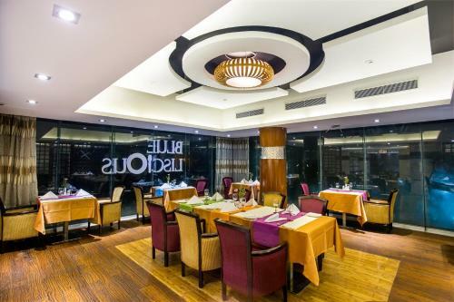 Hotel Bengal Blueberry