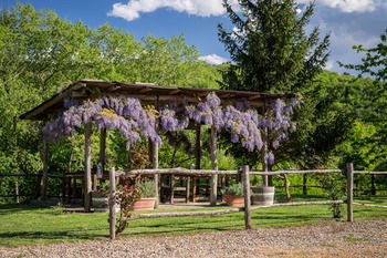 Le Cetinelle B&B