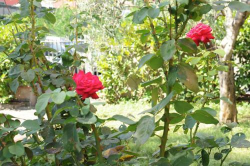 Bed & Breakfast Marinetta