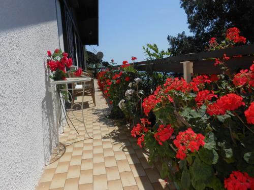 Bed & Breakfast Cinqueterre Holidays