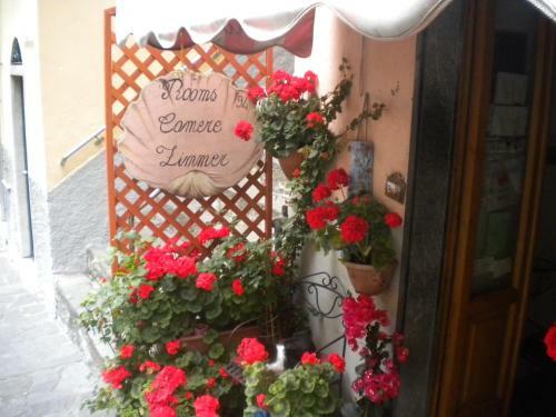 Bed & Breakfast Cinqueterre Holidays