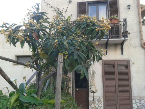 Bed & Breakfast Baglio Ferlito