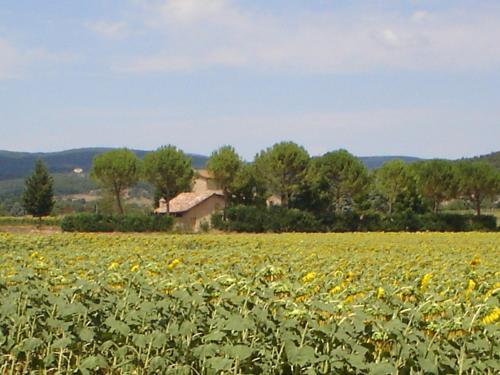 Bed & Breakfast Casale Il Colombaio Di Toiano