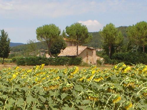 Bed & Breakfast Casale Il Colombaio Di Toiano